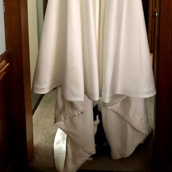 Calla Blanche Paloma Gown - Picture 10 of 15